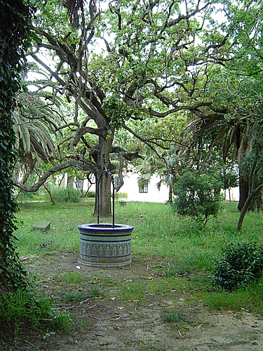 Parque De Las Acacias