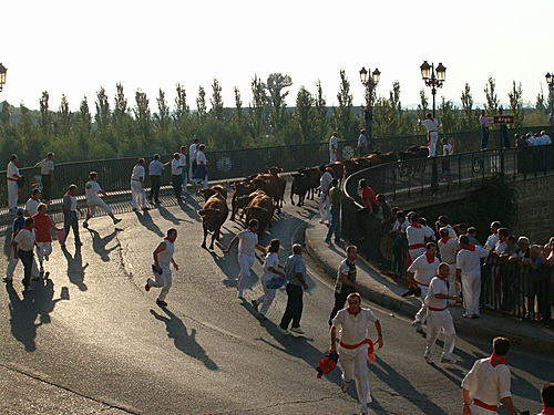 Fiestas2006 002