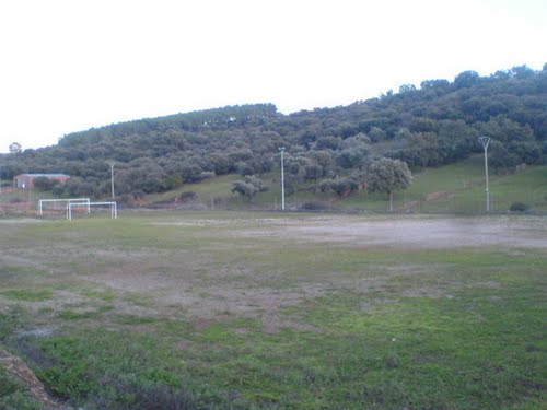Campo De Futbol