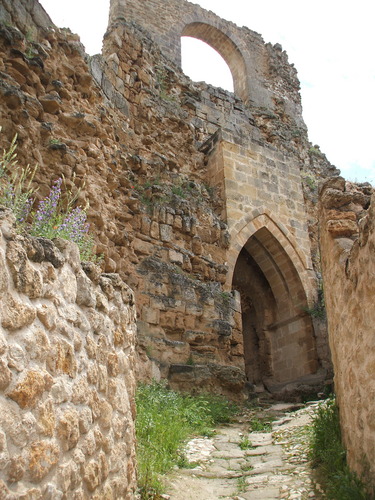Castillo De Zorita