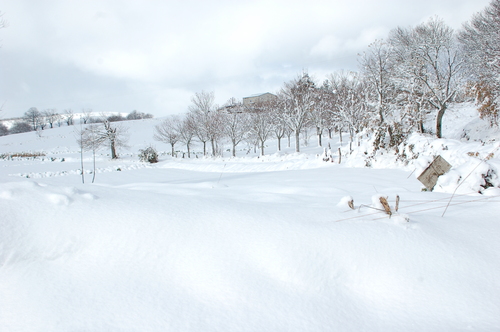 Ayuntamiento de A Gudina imagen de fachada
