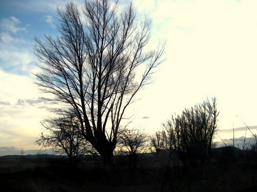 Aguilar Del Alfambra, Enero De 2012