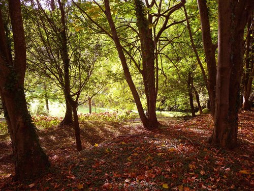 Ayuntamiento de Aia imagen de fachada