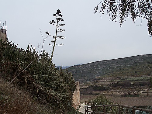 Aielo - Barranc D´Albert