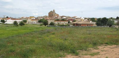 Ayuntamiento de Alborea imagen de fachada