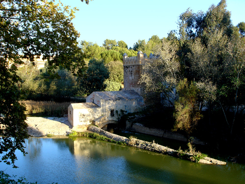 Molino Del Algarrobo