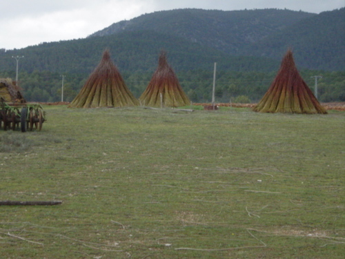 Ayuntamiento de Alcantud imagen de fachada