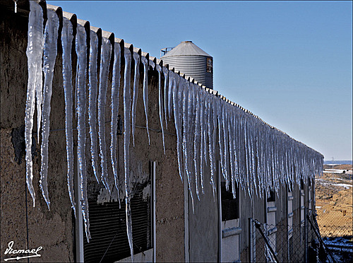 70127-01 ALCONCHEL NEVADO