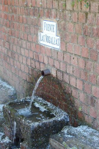 Fuente Las Nogaleas