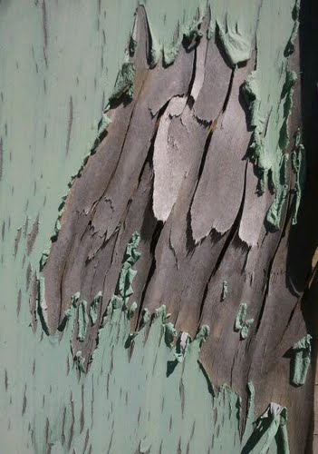 Puerta De Aldeatejada, Detalle.