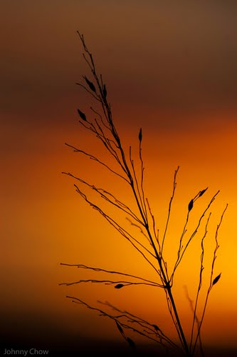 Ayuntamiento de Alfajarin imagen de fachada
