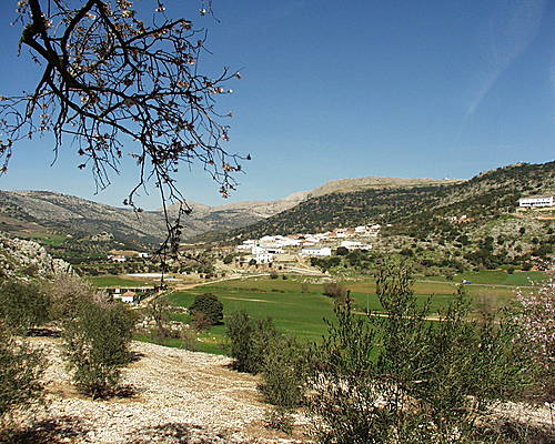 Ayuntamiento de Alfarnatejo imagen de fachada