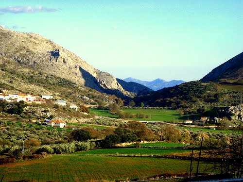 Alfarnatejo. Montes De MÃ¡laga. Marzo De 2012