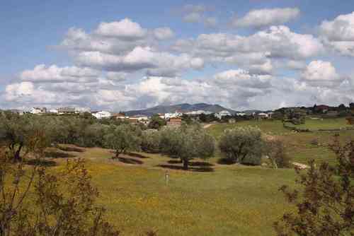 Ayuntamiento de Almendral imagen de fachada
