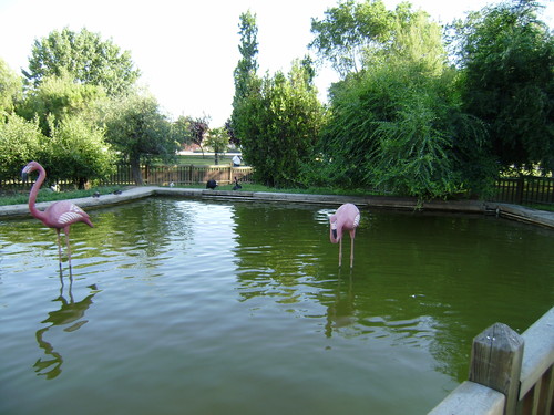 Ayuntamiento de Alpicat imagen de fachada