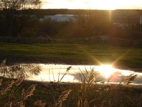 Ayuntamiento de Andosilla imagen de fachada
