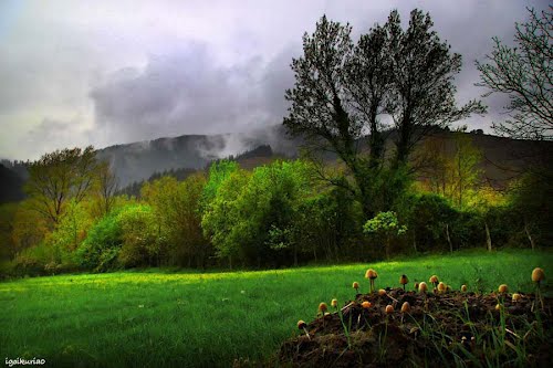 Ayuntamiento de Arakaldo imagen de fachada