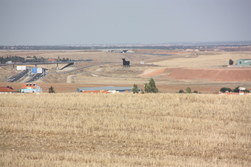 Toro Osborne Nacional 530, Arapiles, Salamanca