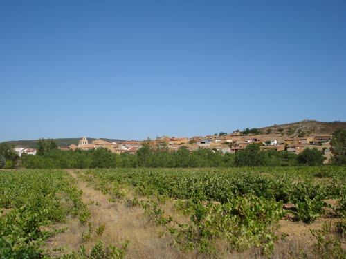 Vista De Ayoó De Vidriales