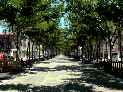 Azuqueca, Bulevar De Las Acacias