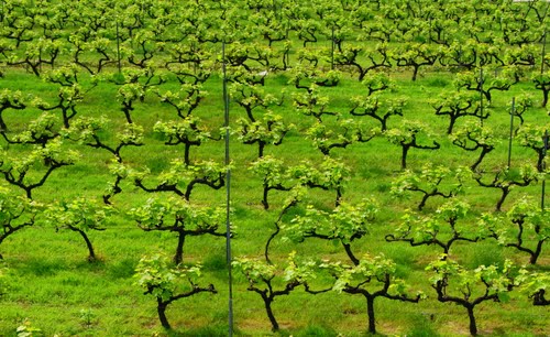 Ayuntamiento de Badalona imagen de fachada