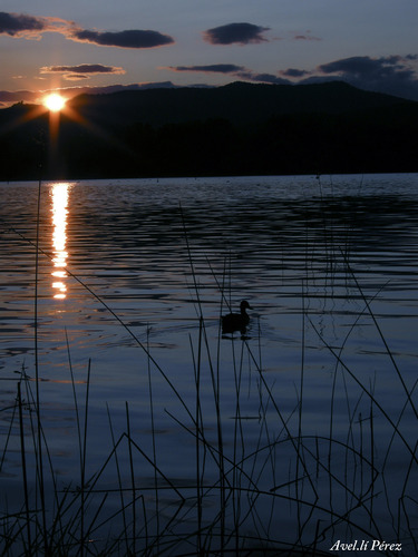 Ayuntamiento de Banyoles imagen de fachada