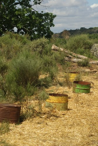 Ayuntamiento de Barruecopardo imagen de fachada