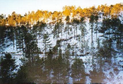 Ayuntamiento de Beamud imagen de fachada