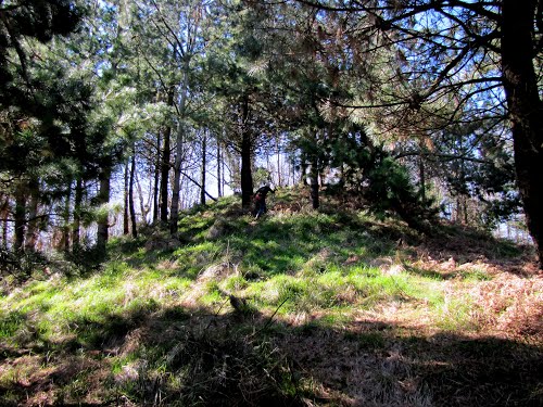 Ayuntamiento de Beasain imagen de fachada