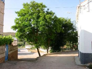 Ayuntamiento de Belmontejo imagen de fachada