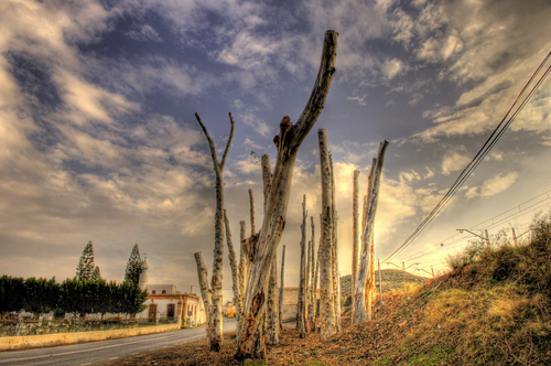Benahadux, Alameda Rapada