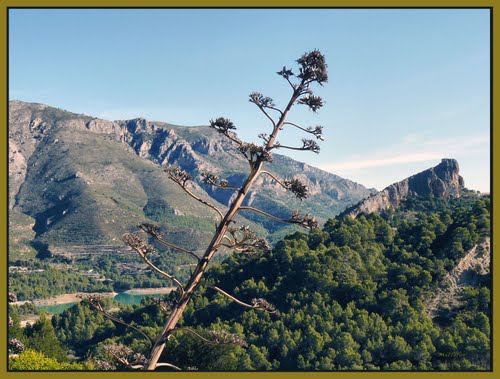 â€¹(â€¢Â¿â€¢)â€º Desde BeniardÃ¡