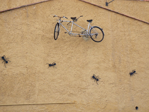 Las Hormigas De Benicasim