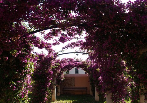 Ayuntamiento de Binissalem imagen de fachada