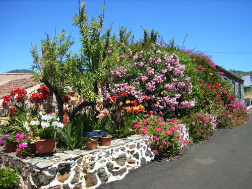 LA PALMA