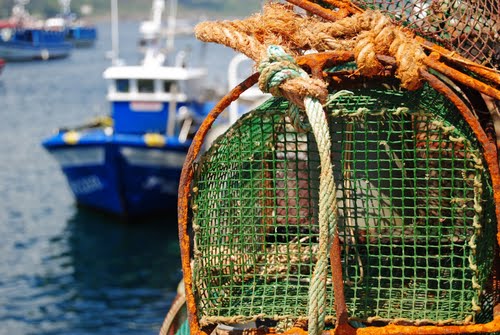 Mañana Estarán Llenas