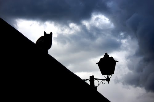 ** Solo Ante El Peligro **