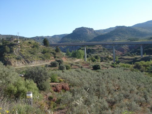 Ayuntamiento de Calles imagen de fachada