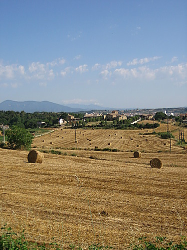 Solstici D´estiu A Camós