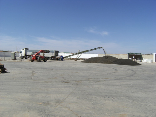 Recogida Del Girasol - San Benito (Cooperativa AgrÃcola) - Campillos (Málaga)