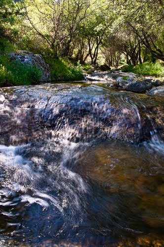 Ayuntamiento de Canencia imagen de fachada
