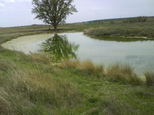Ayuntamiento de Canredondo imagen de fachada