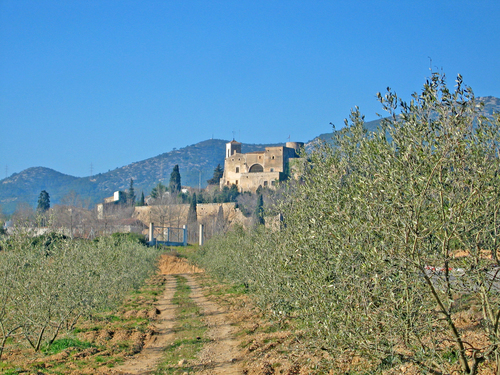 Castell De Canyelles