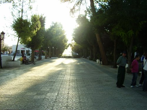 Parque Municipal De Carrión De Calatrava, España.