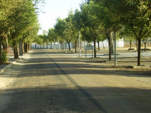 Entrada A Carrión De Calatrava Desde Fernáncaballero. España.