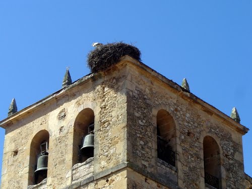 Ayuntamiento de Casarejos imagen de fachada