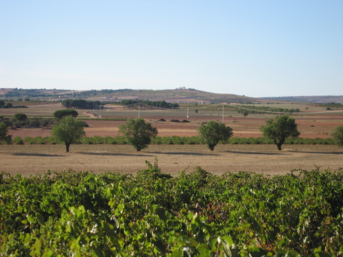 Alrededores De Casas De Guijarro
