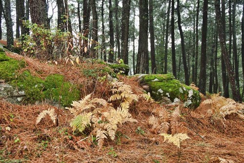 Ayuntamiento de Casillas imagen de fachada