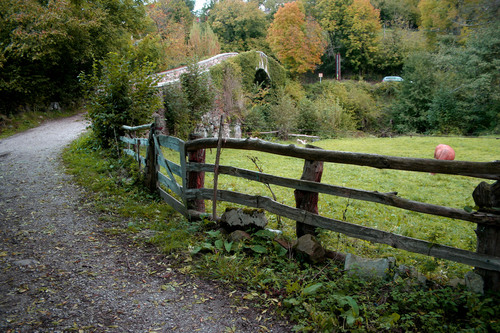 Puente Romano De CASO