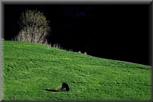 Ayuntamiento de Castaras imagen de fachada